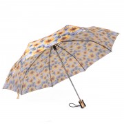 010 желтые ромашки.